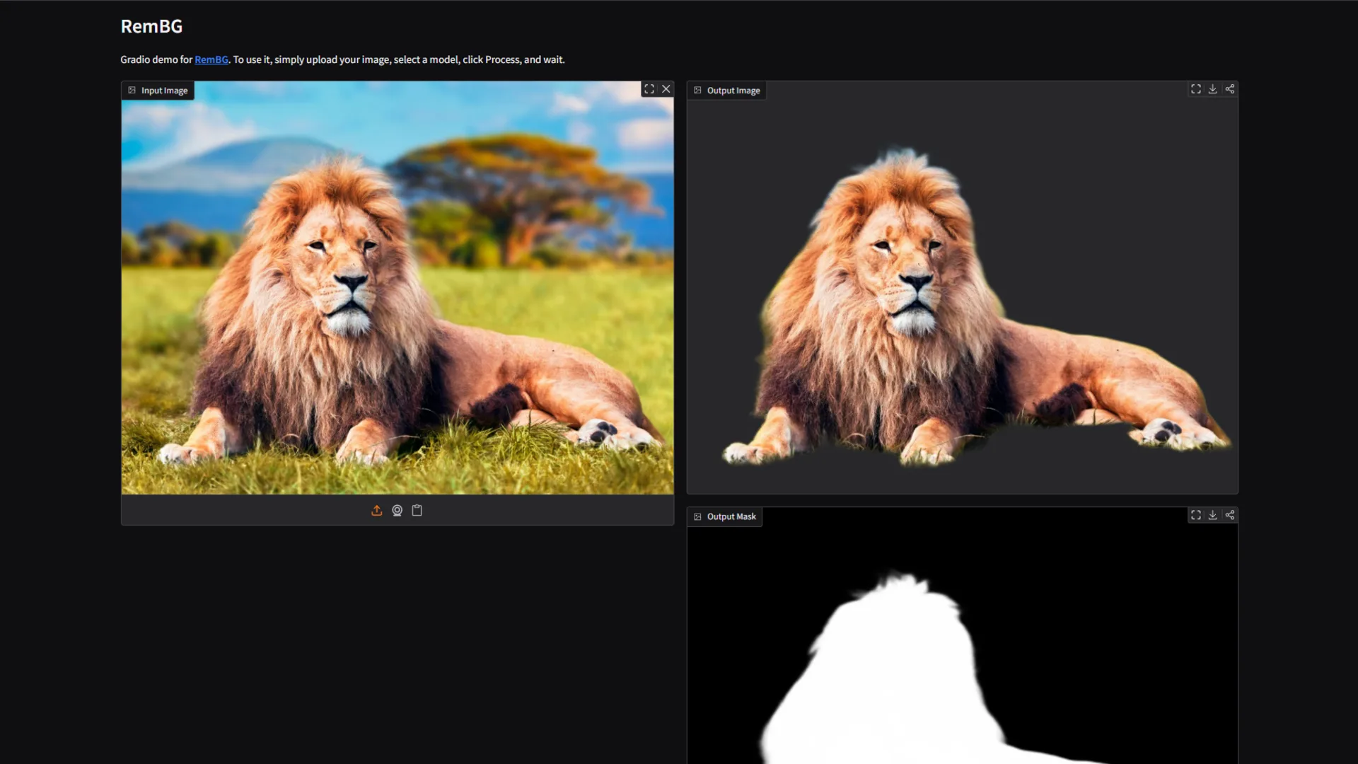 rembg Open Source Contribution - screenshot 1